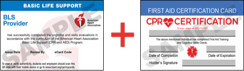 Sample American Heart Association AHA BLS CPR Card Certificaiton and First Aid Certification Card from CPR Certification Philadelphia