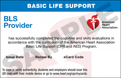 Sample American Heart Association AHA BLS CPR Card Certification from CPR Certification Philadelphia