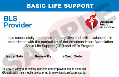 CPR Renewal Philadelphia - AHA BLS CPR